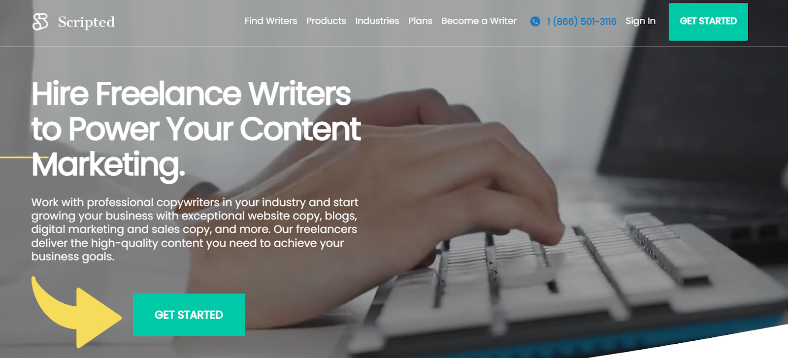 content writing service provider company