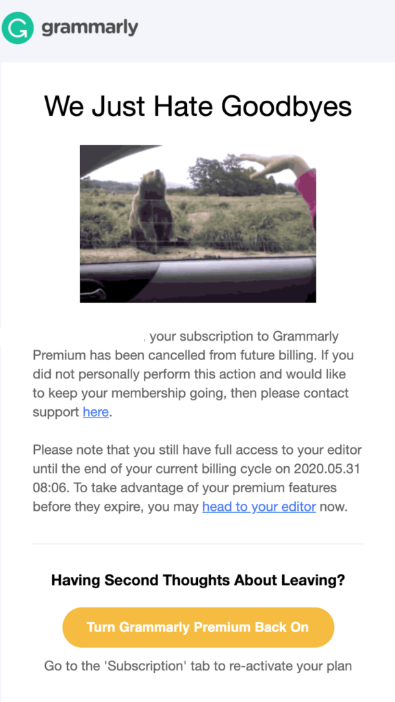 Grammarly Premium subscription cancelation email example