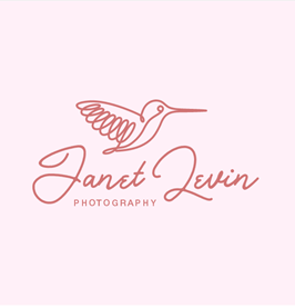 a photography logo on Tailor Brands 