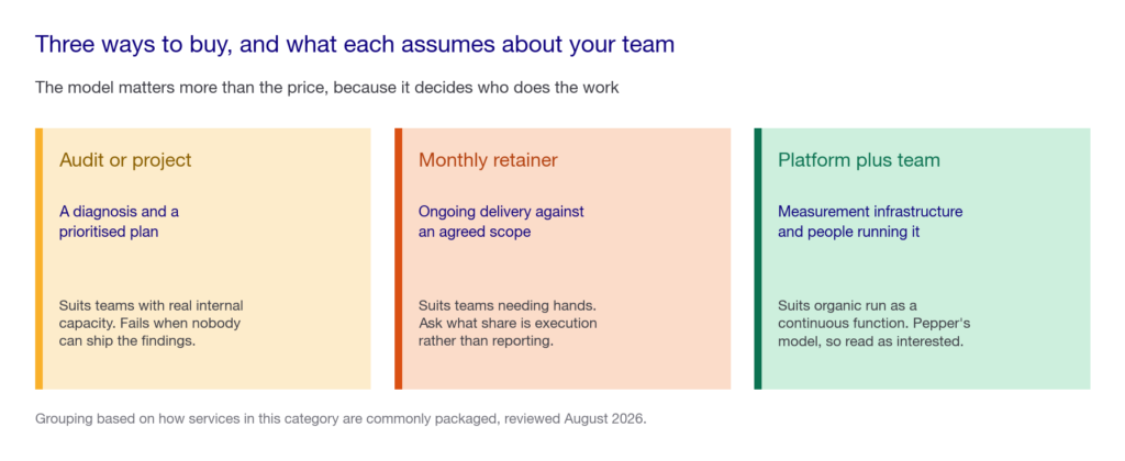 Three-card comparison of audit-only, retainer and platform-plus-team engagement models with what each suits and where each falls short
